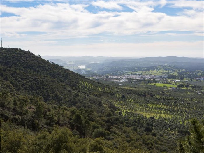 EL PEDROSO Vista Panorámica