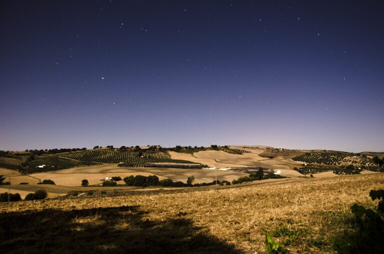 Paisaje cerca de Ronda
